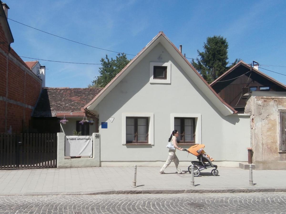 Apartments With A Parking Space Samobor, Prigorje - 12869 Экстерьер фото